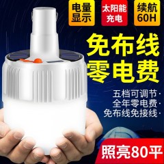 T太阳能LED充电灯泡节能球泡灯 移动夜市灯地摊灯 家用停电应急灯